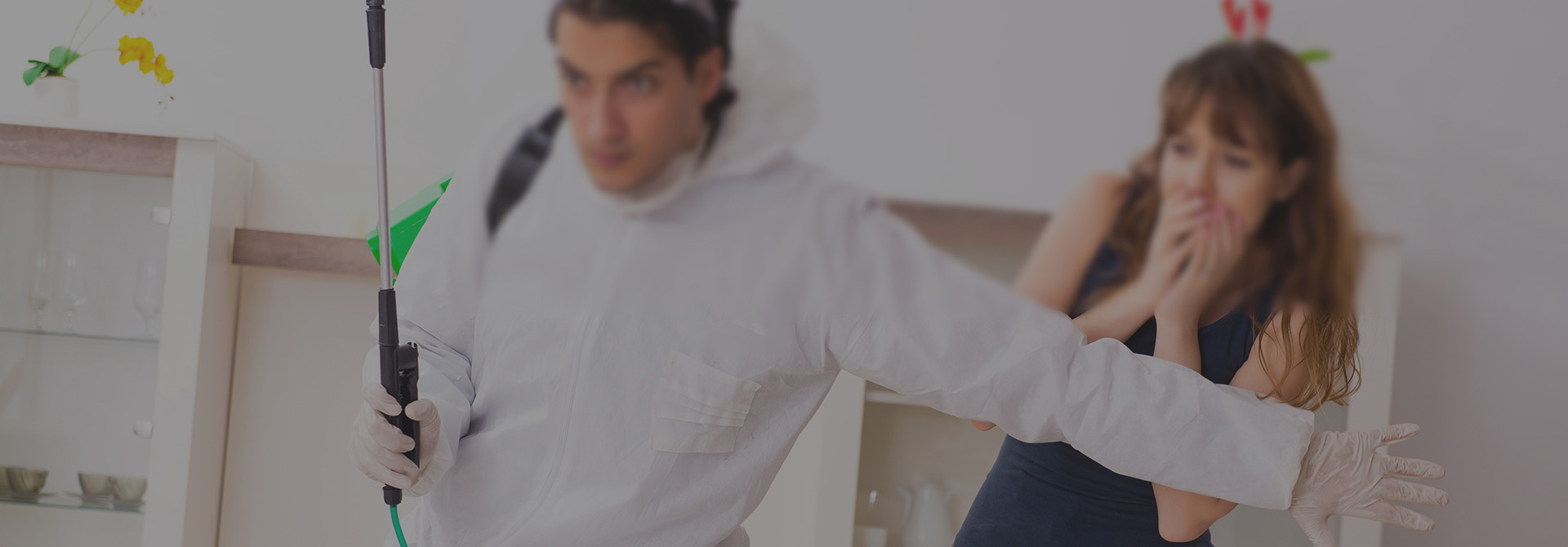 绿百康虫控，焕新生活