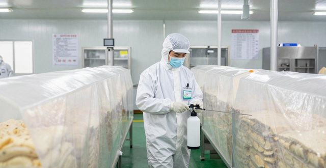 工厂灭蟑螂_灭蟑螂公司怎么收费_蟑螂公司灭蟑螂一般要多少钱